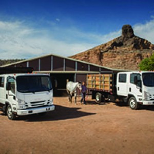2015 isuzu nprnpr-hd photo
