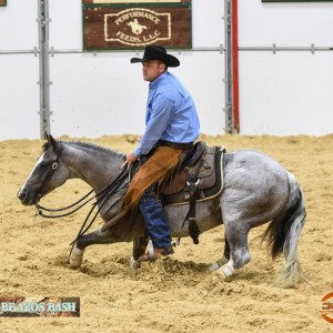 2016 brazos brazos photo
