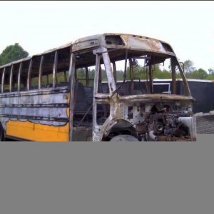 2016 freightliner b2-bus-chassis photo