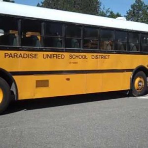 2017 gillig school-bus photo