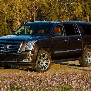 2018 cadillac escalade-esv-platinum photo