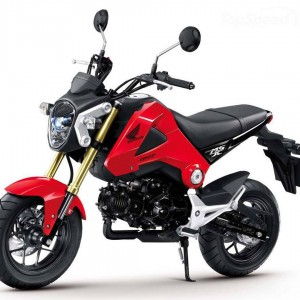 2018 honda msx125-grom photo