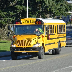 2018 ic-bus pb105 photo