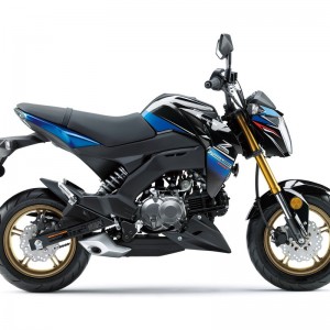 2018 kawasaki z125-pro photo