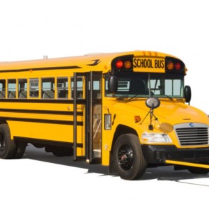2019 blue-bird bb-conventional photo