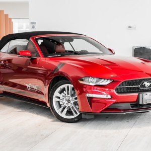 2019 ford mustang-eco-eco-premium photo
