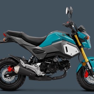 2019 honda msx125grom photo