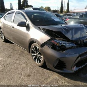 2019 toyota corolla-l-le-se-xle-xse photo