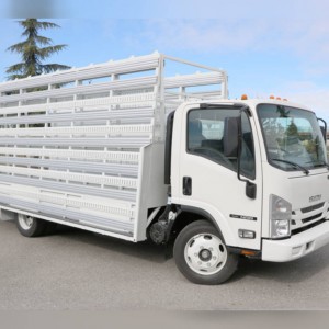 2021 isuzu nrr photo