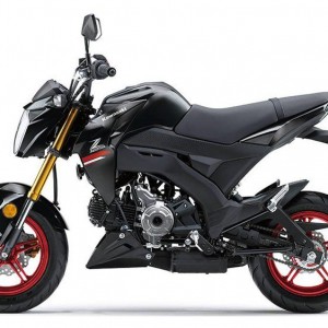 2021 kawasaki z125-pro photo