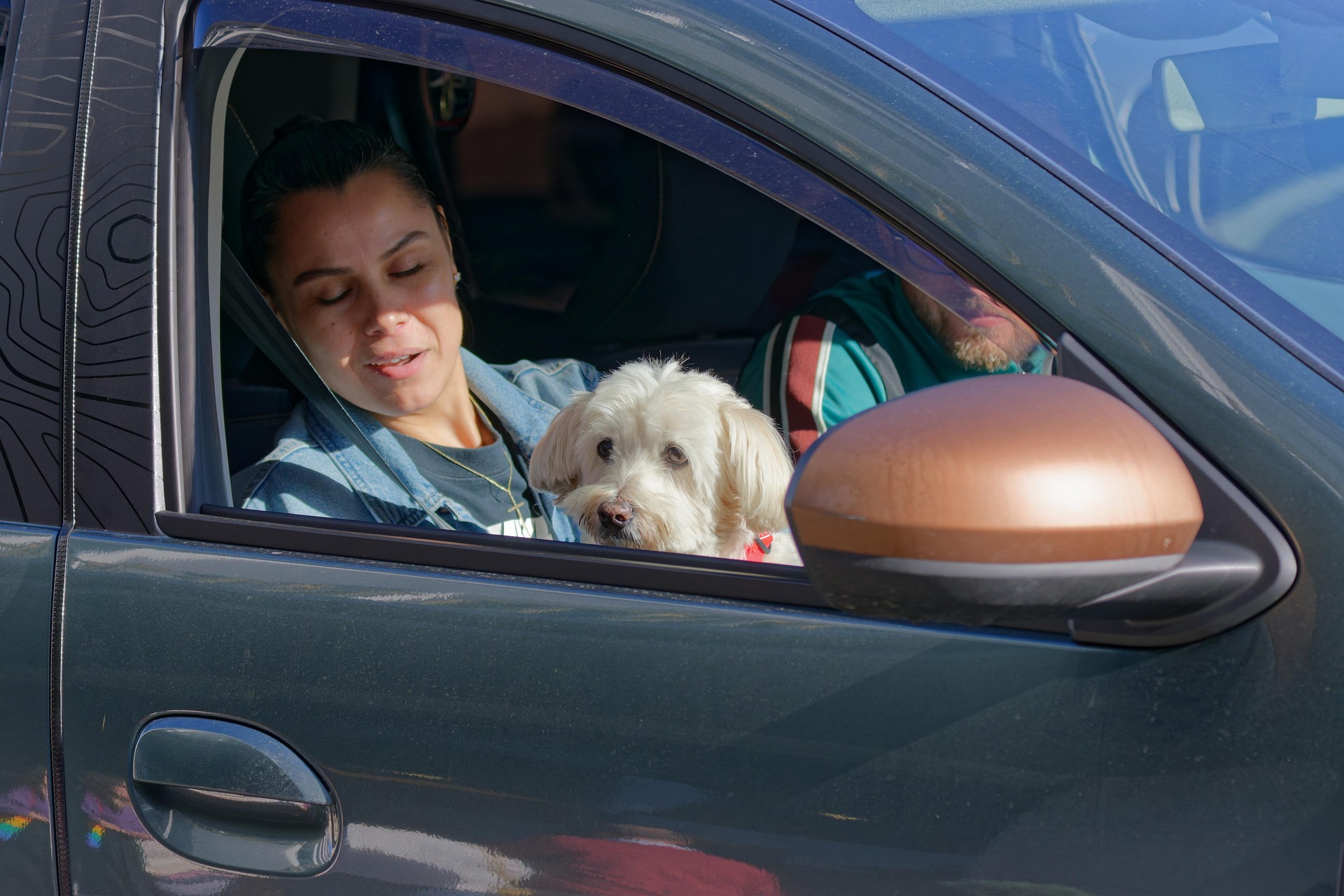 How to Remove Pet Hair from Car Interiors